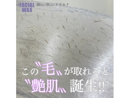 ドラセナ トータルビューティー(Dracaena Total Beauty)の写真