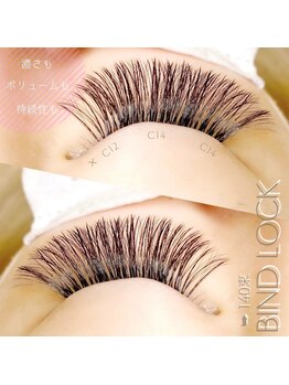 エシェル(e'chelle)/バインドロック140束