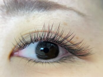 プルームミコ(Plume mico)/全体カラーMIX　ピンク