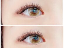 ティピ(tipi)/ダブルフラットラッシュ120束