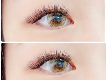 ティピ(tipi)/ダブルフラットラッシュ120束