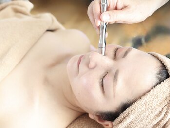 エルブラン(Herb ame)/ダイアモンドピーリング