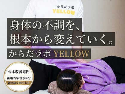 からだラボ イエロー(YELLOW)の写真