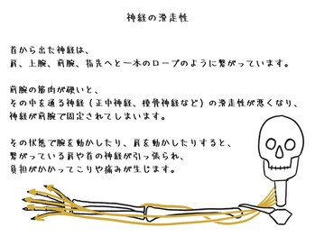 整体家 シン(Shin)/腕の緊張と首・肩こりの関係