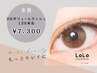 《持続力◎しっかりボリューム》3Dボリュームラッシュ120束