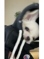 ブロウフィット 千葉店(BROWFIT) 愛犬家
