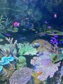 オッフェン 新越谷駅前店(offen)&nbsp;お休みの日はお家でのんびり派ですが水族館は好きです。