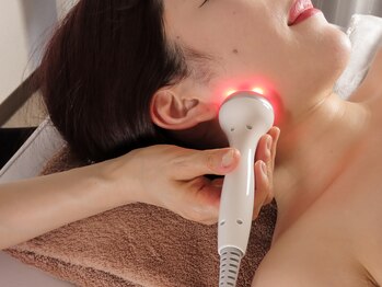 スターチス(Statice)/エレクトロポレーション