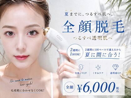 セハス キム(cejas kim.)の写真