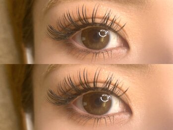 リュンヌ(LUNE)/上下ボリュームデザイン