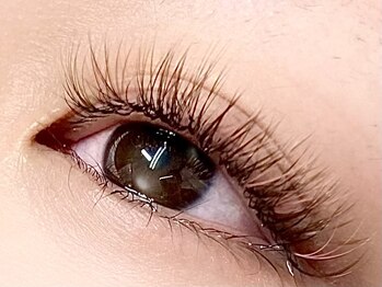 ミニョンアイラッシュデザインサロン くずは店/ボリュームフェザー3Dラッシュ