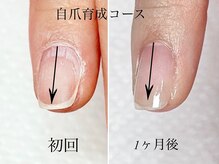トゥインクリーネイルサロン(Twinkly Nail Salon)/【地爪育成】1回お試し