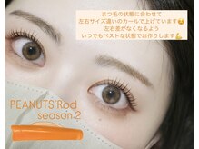 ザ サロン ステラ 五反田(THE SALON stella)/プランプラッシュリフト