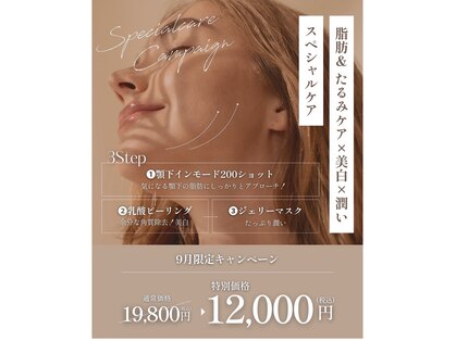 ヘラ(HERA)の写真