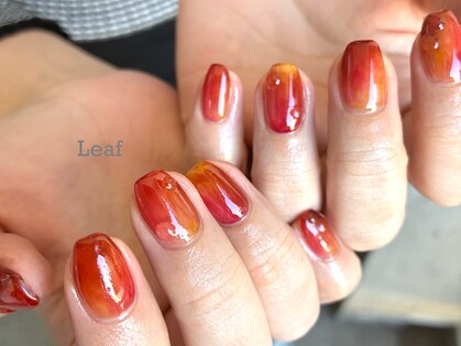 リーフ(Leaf)の写真