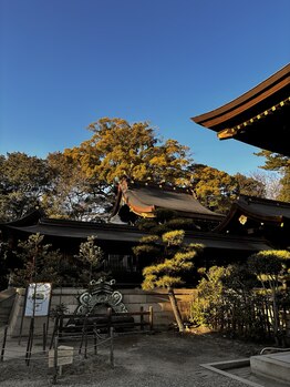 ルポ(Repos)/パワースポット巡り