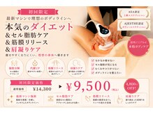 フェリシテ(FELICITE)の雰囲気(脂肪・リンパ・筋膜に同時アプローチ。理論で結果を出す痩身。)