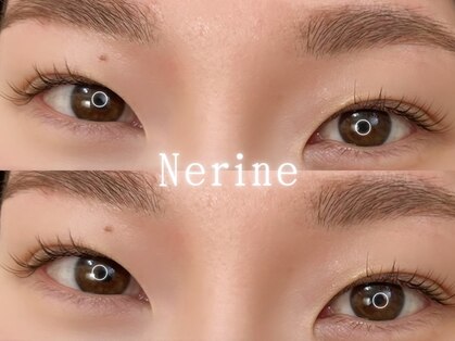 ネリネ(Nerine)の写真