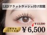 【春の特割!1日2名限定★】LEDフラットラッシュつけ放題¥13100→¥6500　
