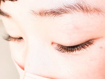 エネアイラッシュ(ene eyelash)/セーブルラッシュ120本