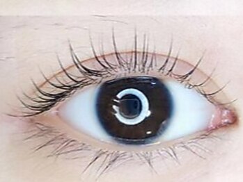 ベルアイビューティー 池袋東口店(BEL EYE BEAUTY)の写真/【話題のパリジェンヌ導入店☆】長時間美しいお目元を持続することが可能!自然ときわだつ目元美を♪