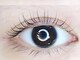 ベルアイビューティー 池袋東口店(BEL EYE BEAUTY)の写真/【話題のパリジェンヌ導入店☆】長時間美しいお目元を持続することが可能!自然ときわだつ目元美を♪