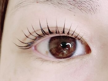 ラドールプラス(LaDoLL+)の写真/〈桑名市/中央町〉話題の次世代まつ毛パーマでぱっちり可愛く目力UP☆ナチュラル・自まつ毛派にオススメ♪
