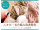 シーズン(Season)の写真