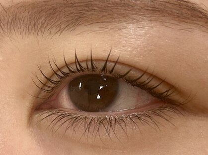 ラッシュテイラー(Lash Tailor)の写真