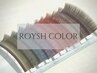 【カラーエクステ】　ROYSH COLOR 100本