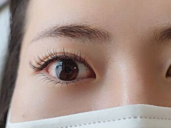 まつげやさんプラス 広島段原(まつげやさんplus)/ボリュームラッシュ100束