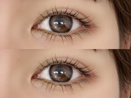 ムゥ(Moo)の写真