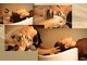 アウィンヘッドスパ(awin head spa)の写真