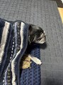 グイット 仙台マーブルロード店(Goo-it!) パグとカメを飼ってます！他にもトカゲ等も！
