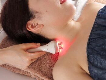 スターチス(Statice)/RF