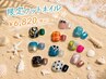 【限定デザインフット】親指アート+ ワンカラー(サンプルから) 6,820円
