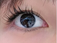 シルフ 松原店(Sylph)/