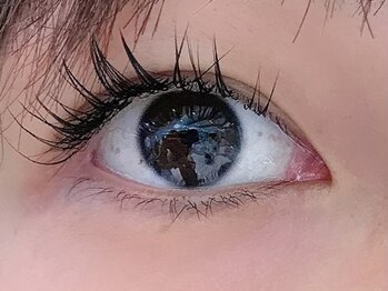 シルフ 松原店(Sylph)/