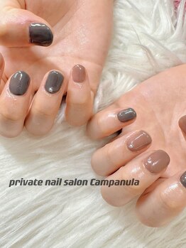 カンパニュラ(Campanula)/ワンカラー.一色変更