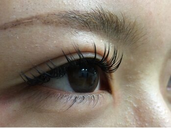 シュシュ(chou chou)/セーブル140本(chouchou吉祥寺)