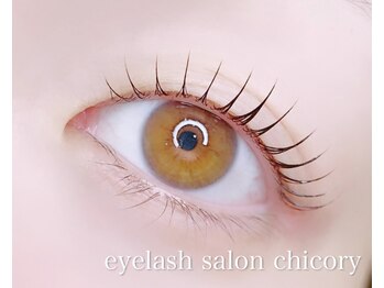 チコリ(chicory)/まつ毛パーマ