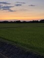 アジアンリラクゼーション ヴィラ 手稲店(asian relaxation villa) ホッとする地元の田園風景。以前はそんなこと思わなかったなぁ。