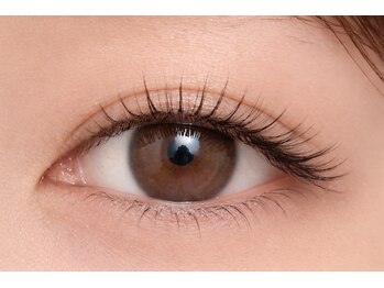 チック(chick)/LEDハイブリット80束