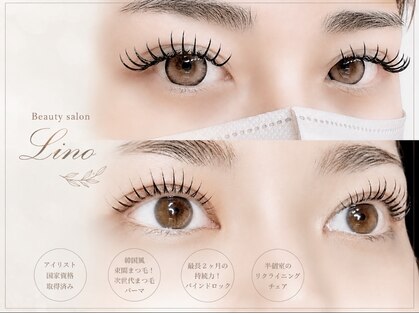 リノ(Lino)の写真