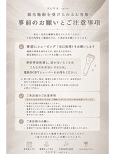 エルヴァ(ELVA)/事前注意事項