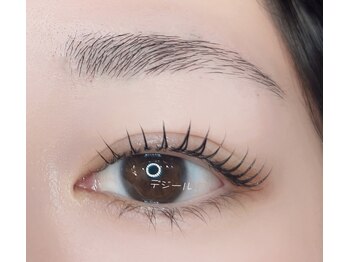 デジール/次世代マツパ