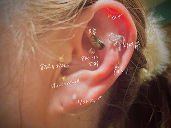 アコルデ(Acorde)/