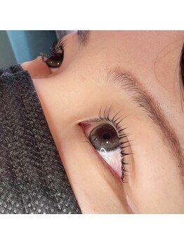 リコリス(Lycoris)/マツエク/まつ毛/アイブロウ