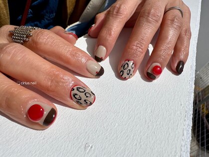 シリウスネイル (Cirius Nail)の写真