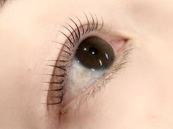 ローバー(ROVER)/まつげパーマ